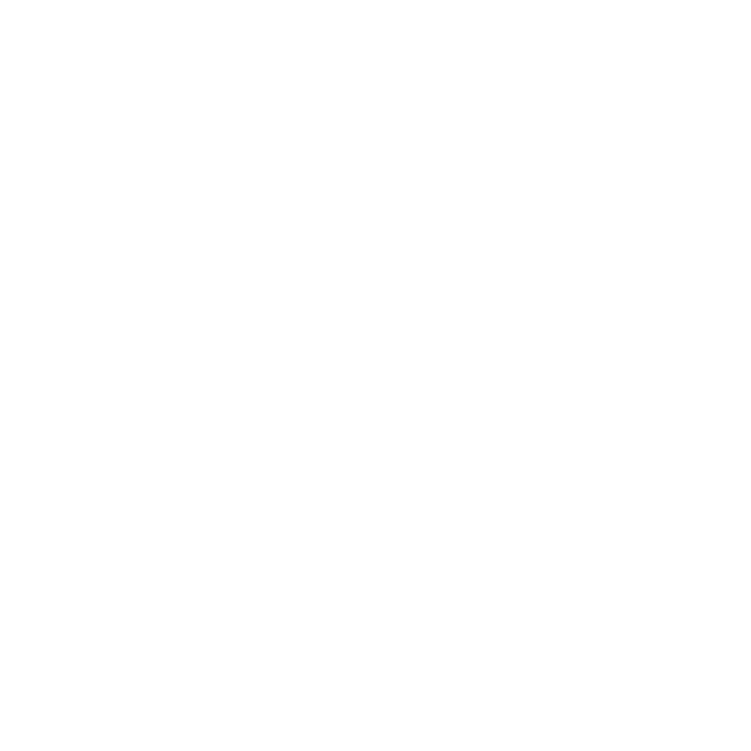 LA NIT VILAFRANCA